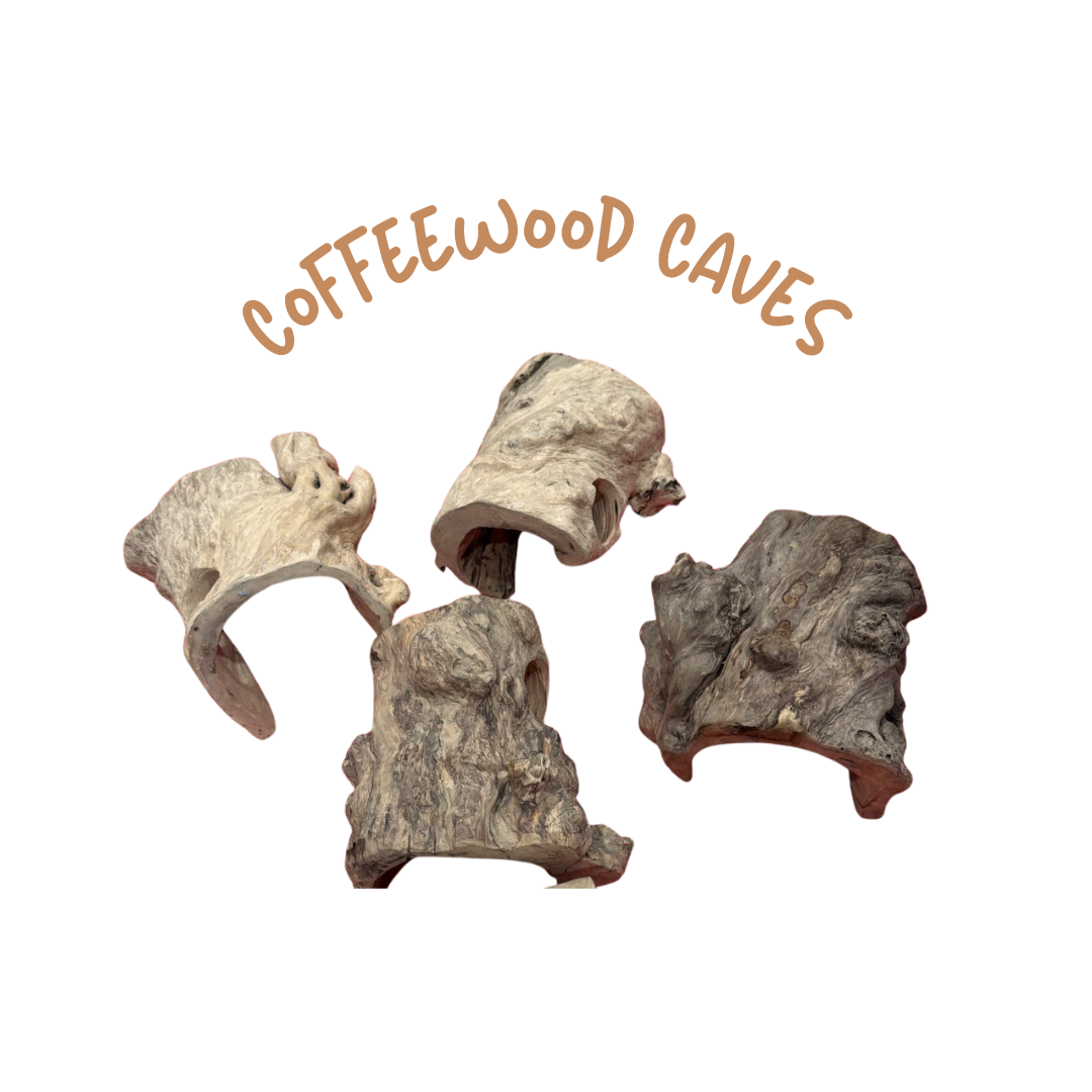 Coffeewood Hiding Caves