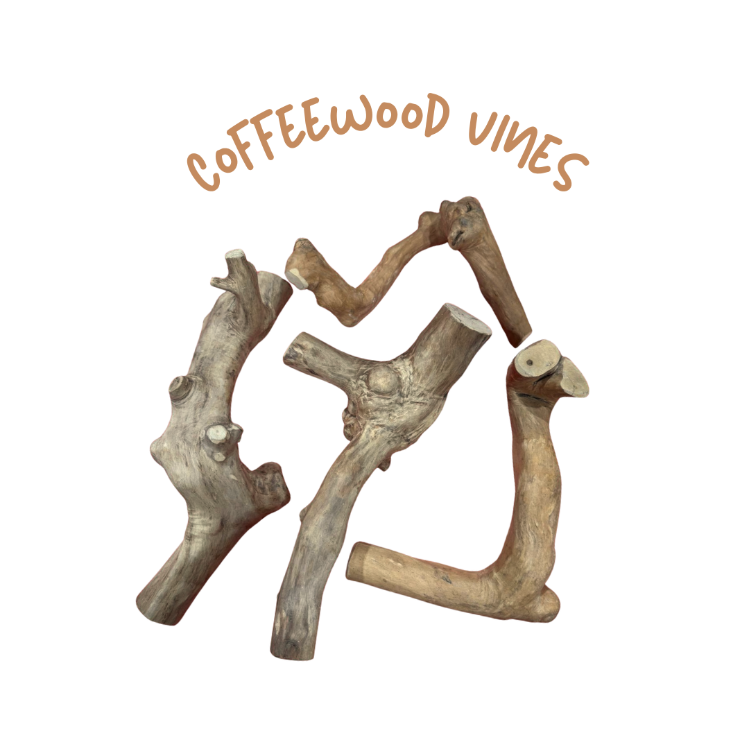Coffeewood Climbing Vines