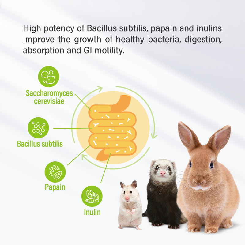 Sun Wonder Digestive Support Supplements for Small Animals