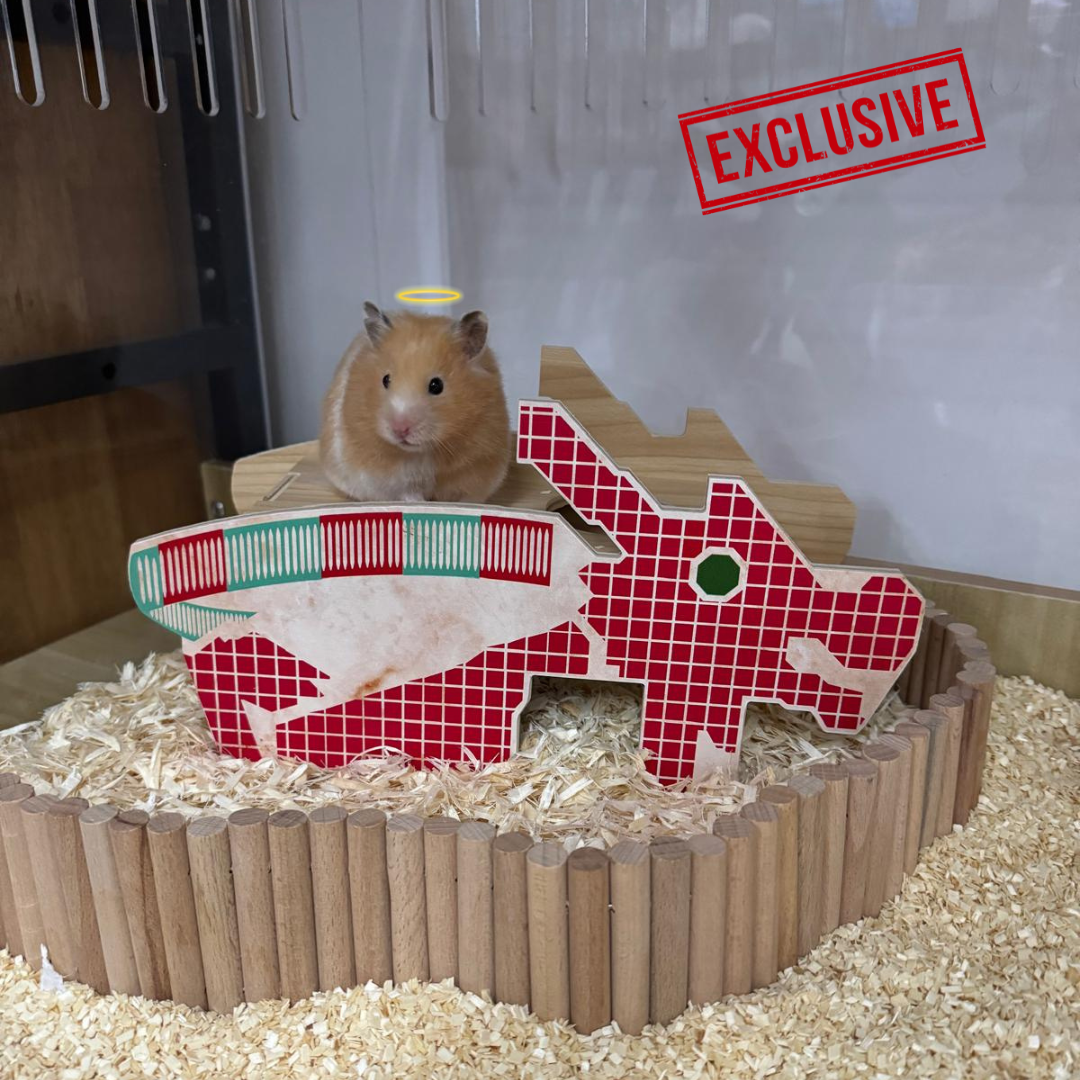 Dragon Playground Hideout