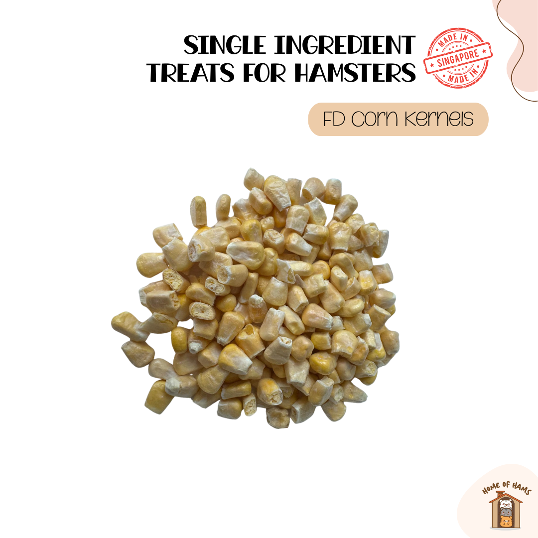 Freeze Dried Single Ingredient Treats