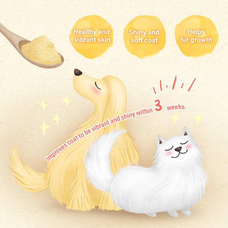 Sun Wonder Furry Booster Skin Supplement for Cats & Dogs