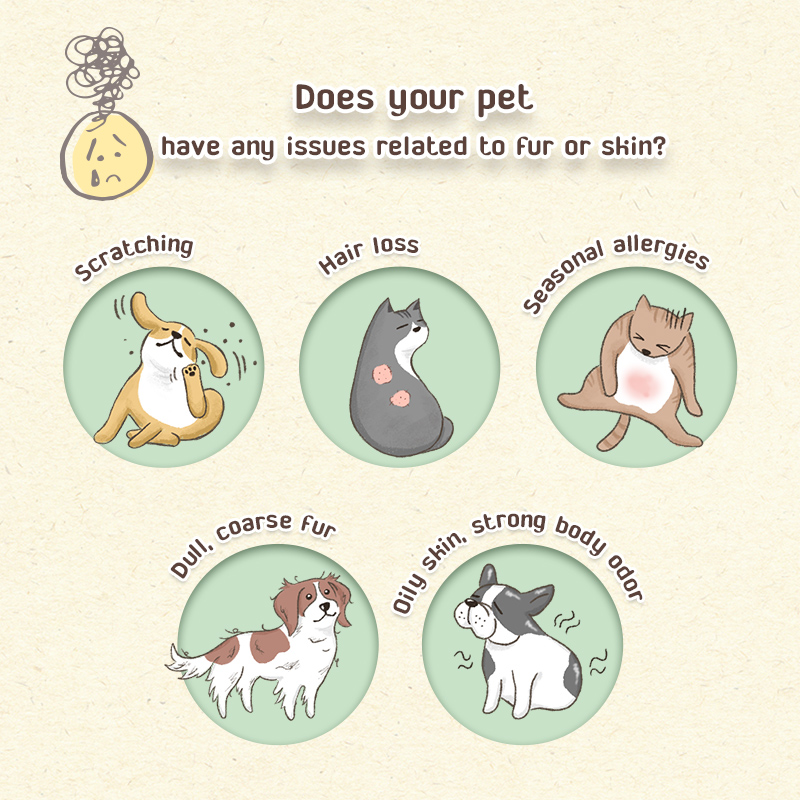 Sun Wonder Furry Booster Skin Supplement for Cats & Dogs