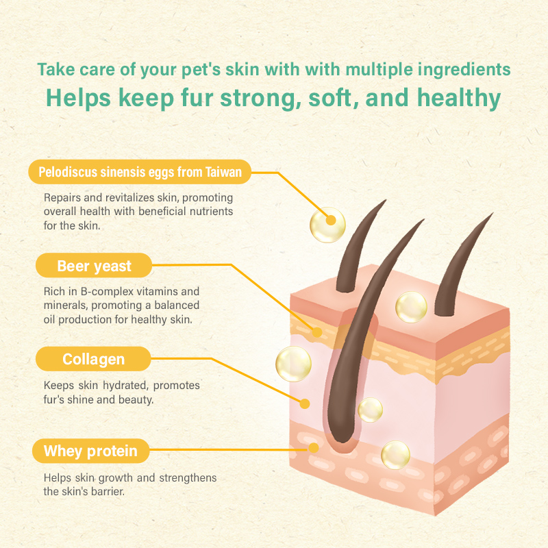 Sun Wonder Furry Booster Skin Supplement for Cats & Dogs