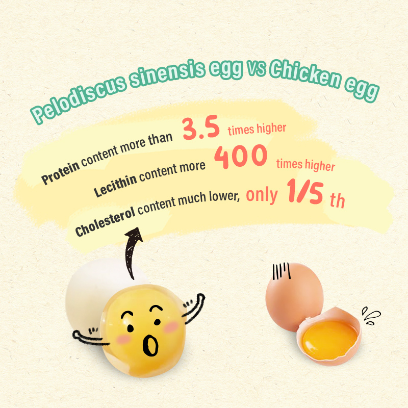 Sun Wonder Furry Booster Skin Supplement for Cats & Dogs