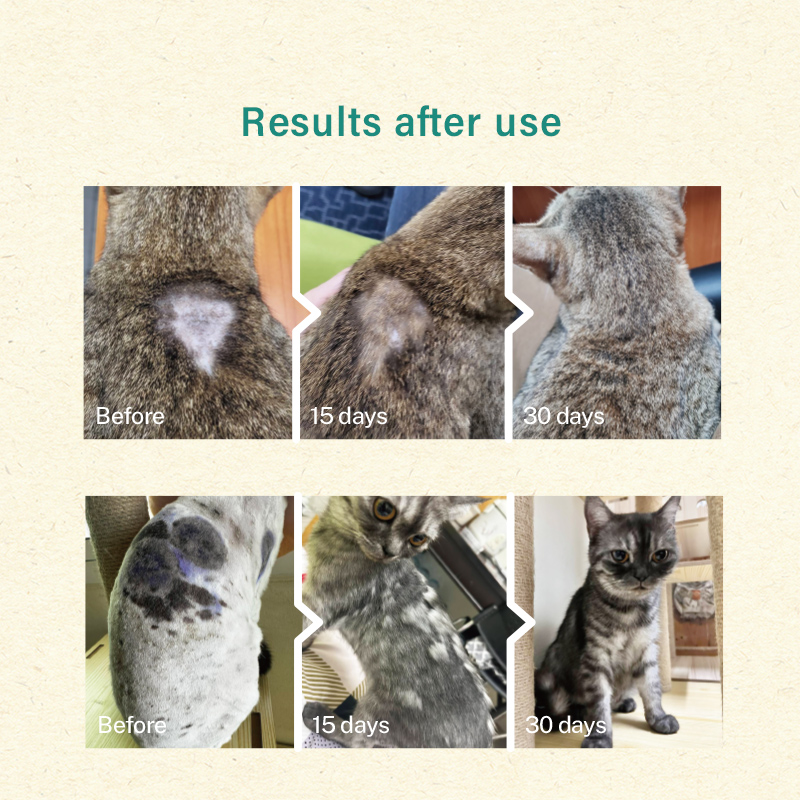 Sun Wonder Furry Booster Skin Supplement for Cats & Dogs