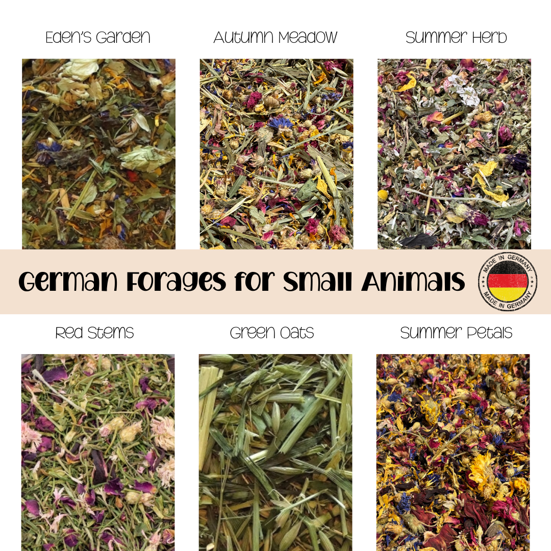 German Herb Forages