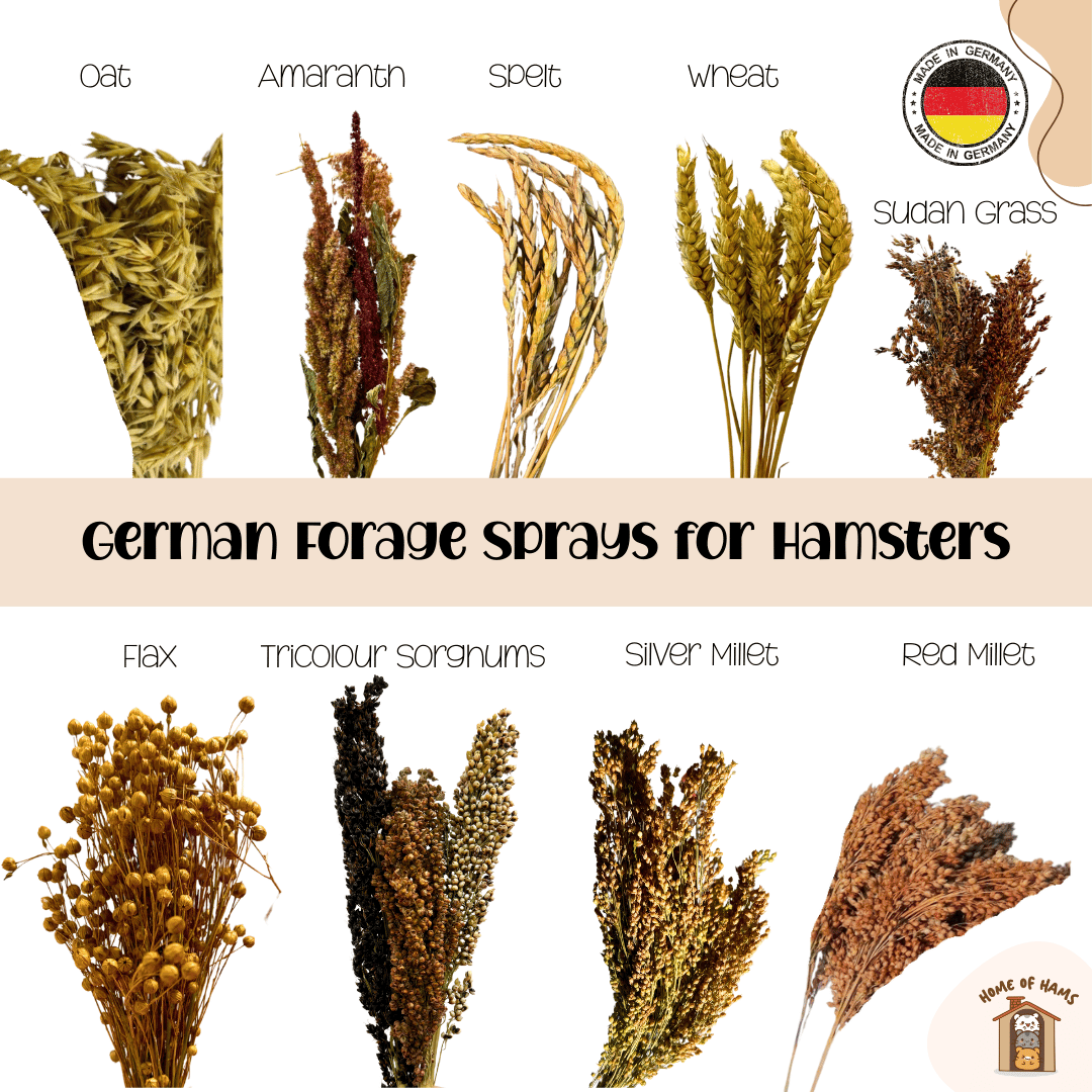 Hope for Animals Event (German Hamster Sprays)