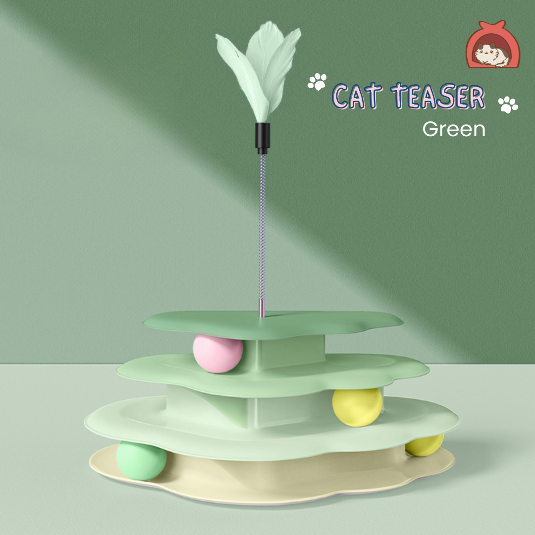 Cat Teaser Cloud Toy