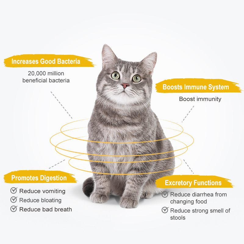 Sun Wonder Probiotics For Cats & Dogs