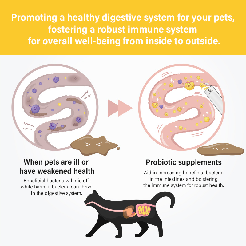 Sun Wonder Probiotics For Cats & Dogs
