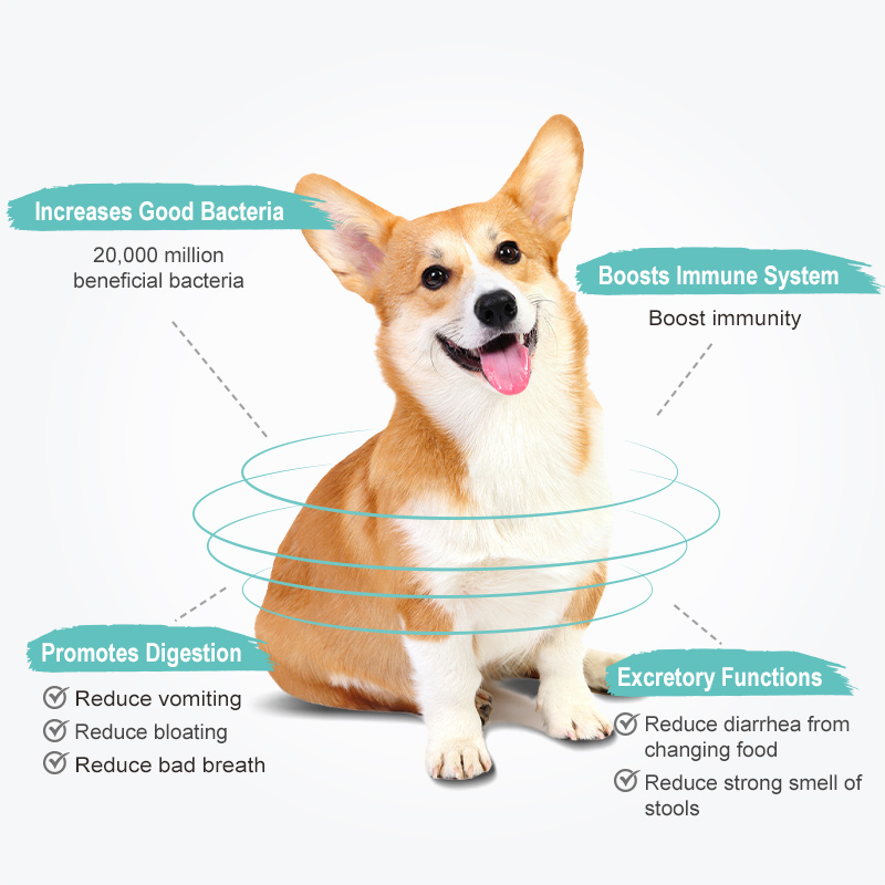 Sun Wonder Gut Booster For Dogs