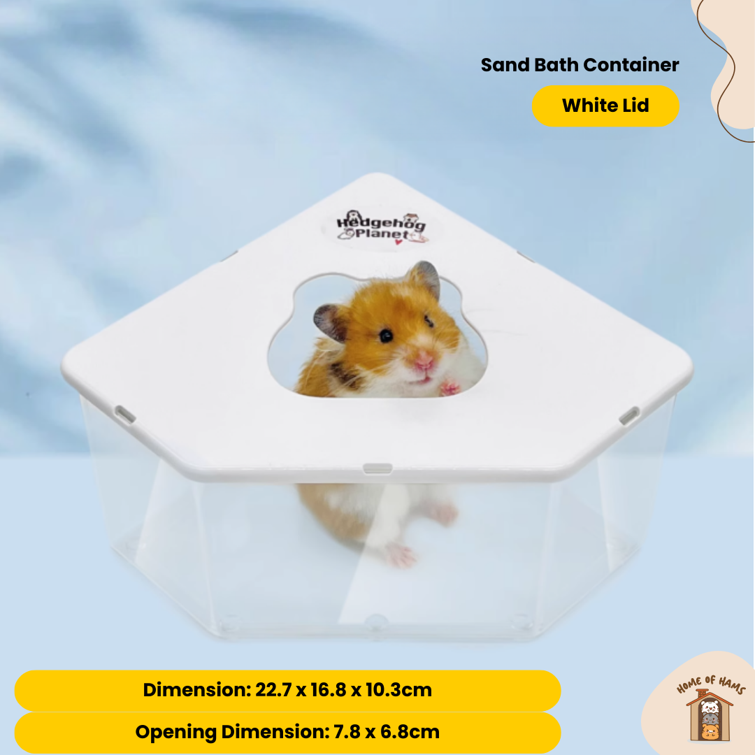 Hamster Sand Bath Container