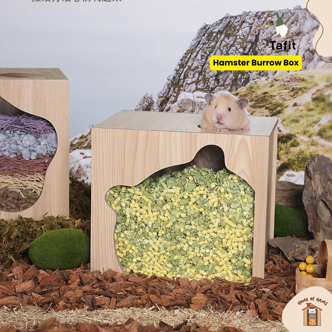 Tafit Hamster Burrow Box