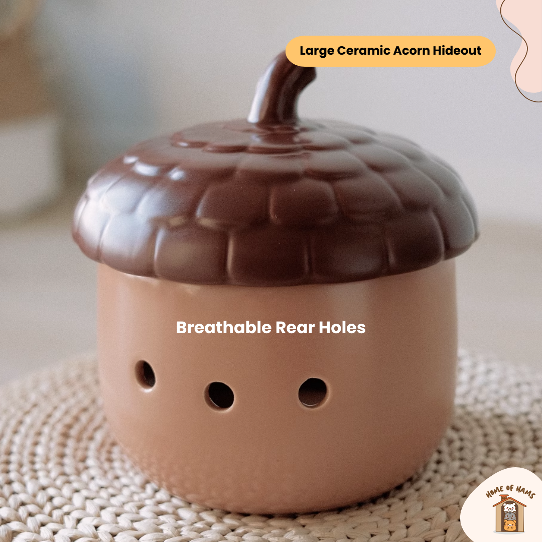 Large Acorn Ceramic Hideout for Hamsters