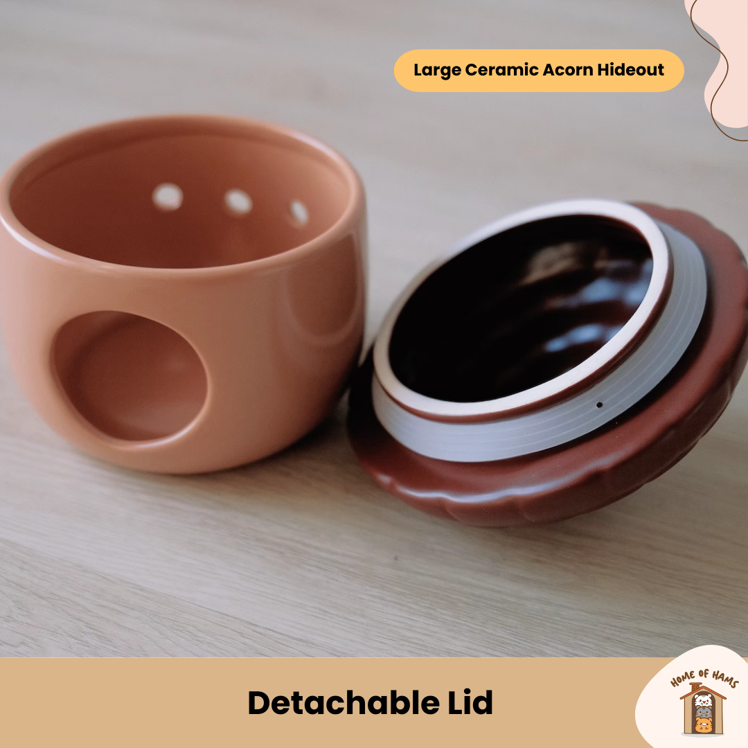 Large Acorn Ceramic Hideout for Hamsters