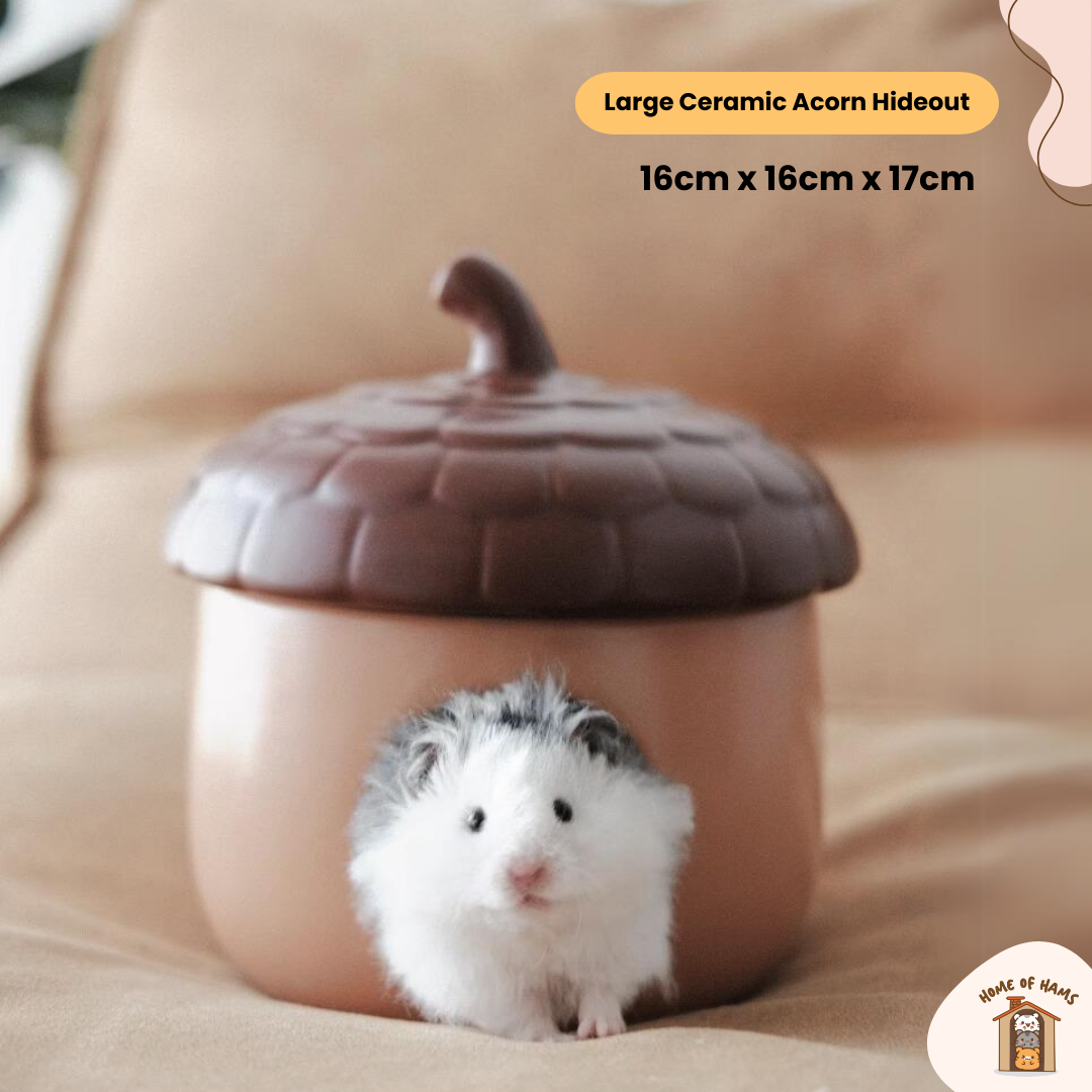 Large Acorn Ceramic Hideout for Hamsters