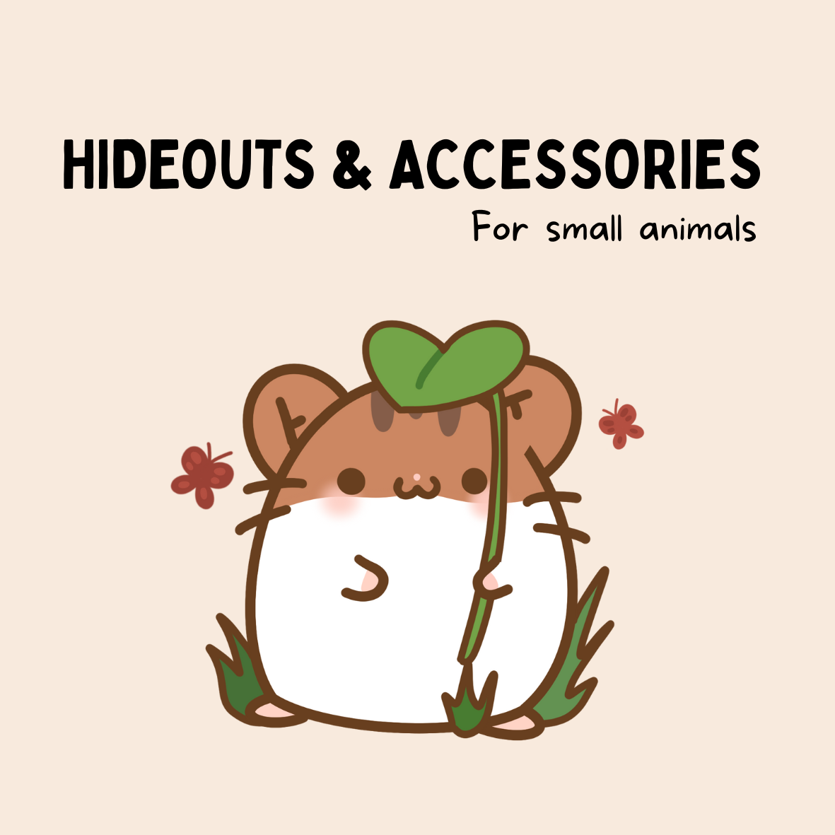 Hideouts & Accessories