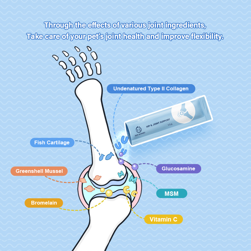 Sun Wonder Hip & Joint Support Supplement for Cats & Dogs
