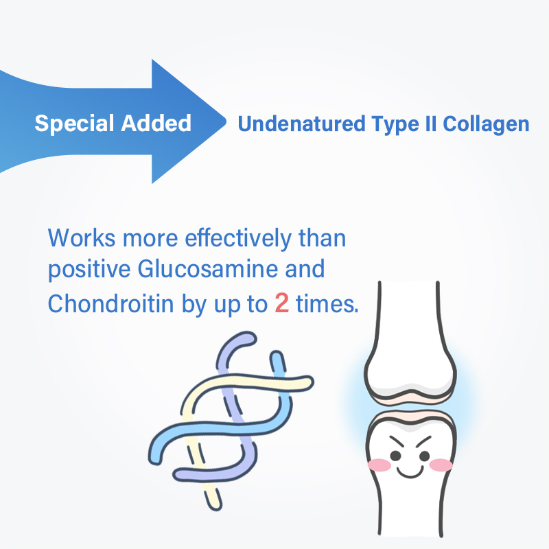 Sun Wonder Hip & Joint Support Supplement for Cats & Dogs