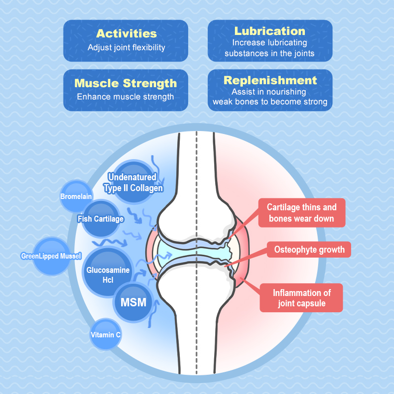 Sun Wonder Hip & Joint Support Supplement for Cats & Dogs