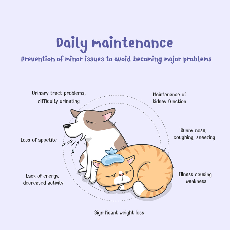 Sun Wonder Immunity and Nutrition Support Supplement for Cats & Dogs