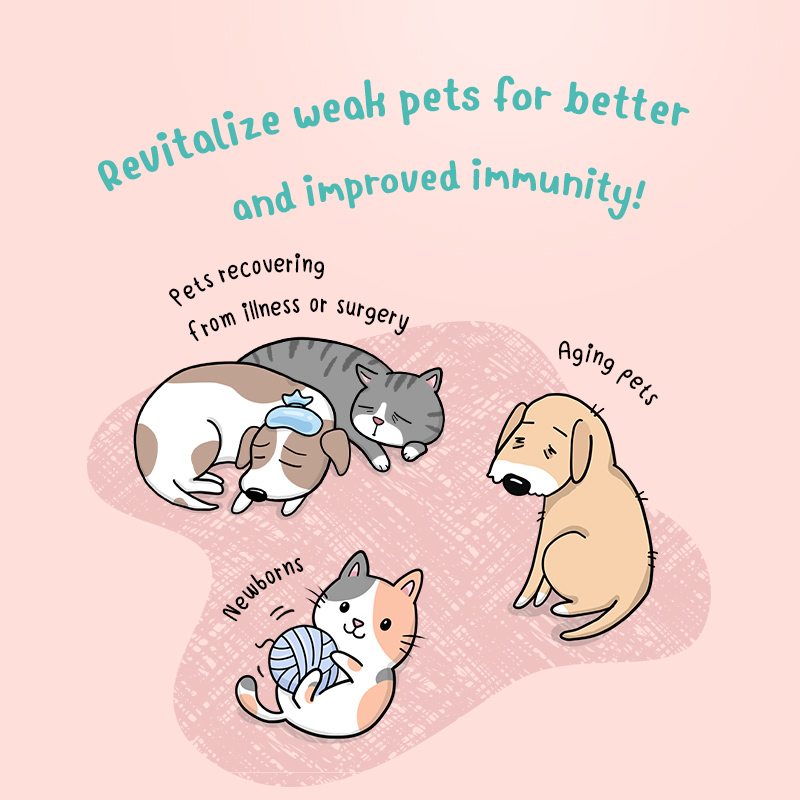 Sun Wonder Immunity Supplement for Cats & Dogs