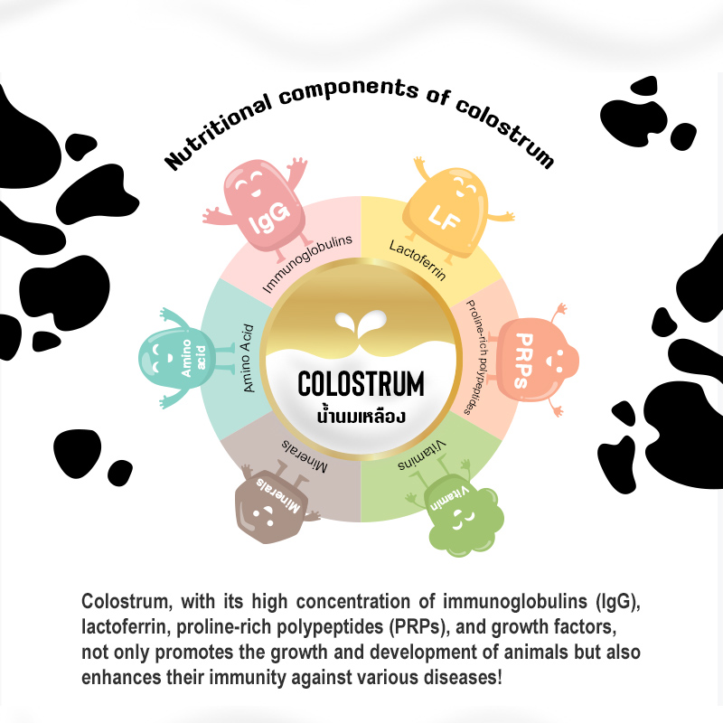 Sun Wonder Immunity Supplement for Cats & Dogs