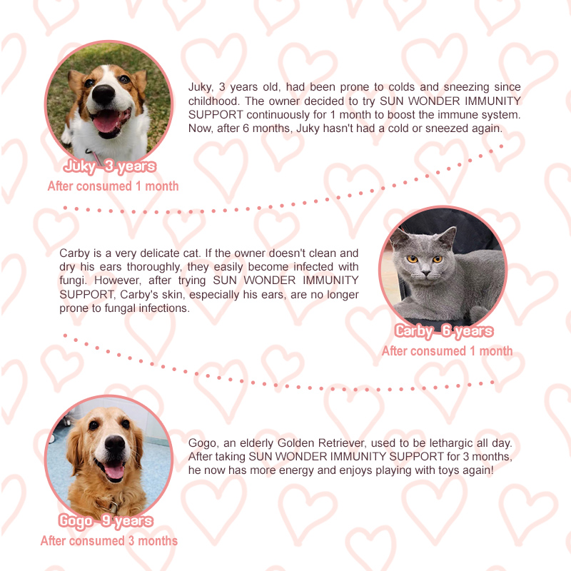 Sun Wonder Immunity Supplement for Cats & Dogs