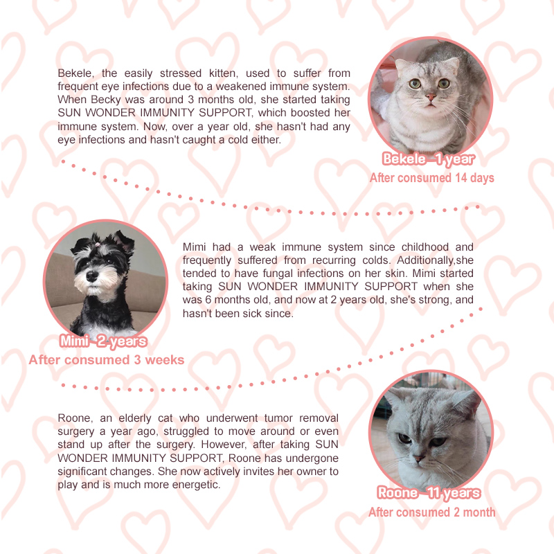 Sun Wonder Immunity Supplement for Cats & Dogs