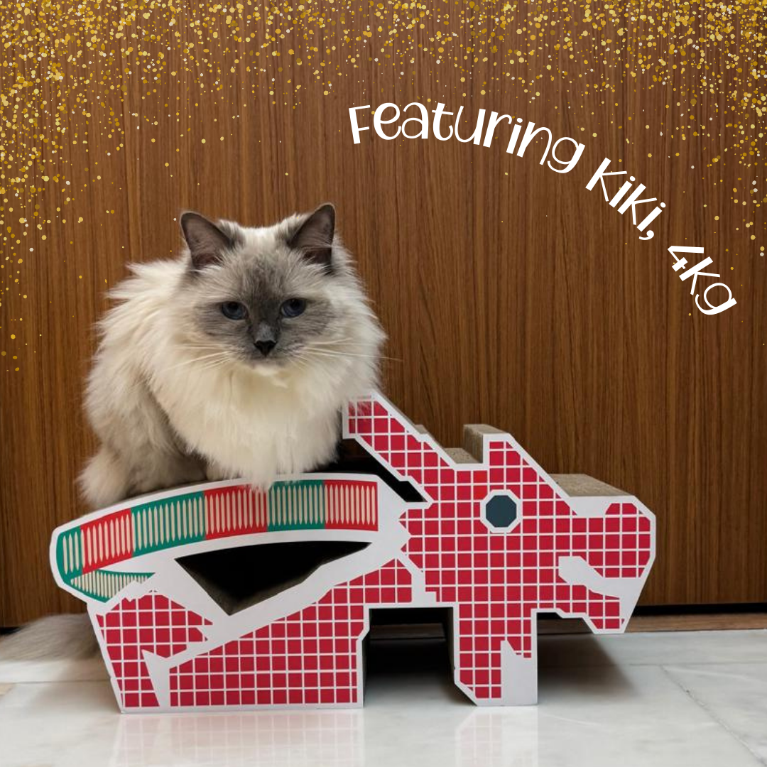 Cat Scratcher Dragon Playground Cat Scratcher Exclusive Design