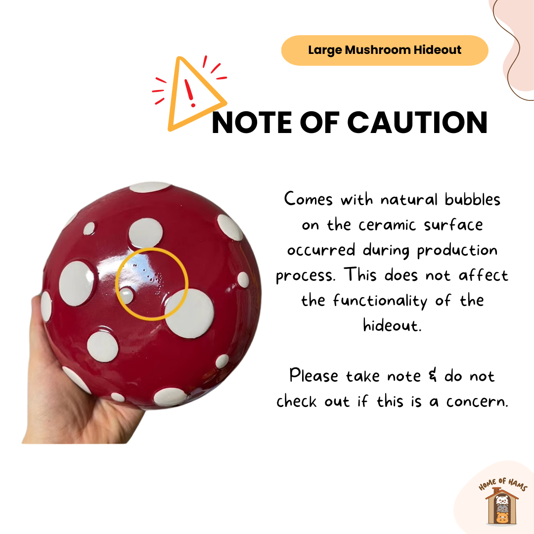 Large Ceramic Hamster Hideouts