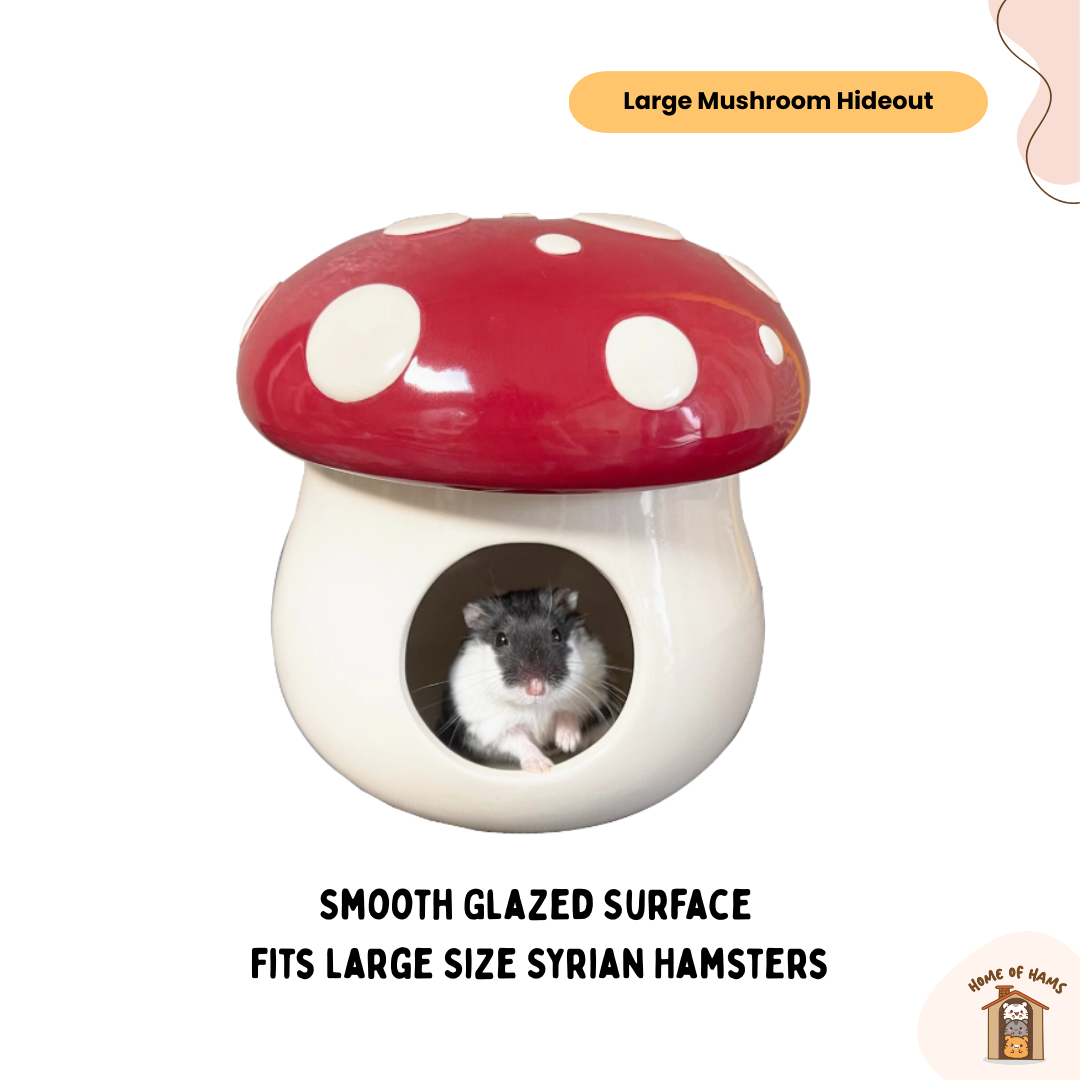 Large Ceramic Hamster Hideouts