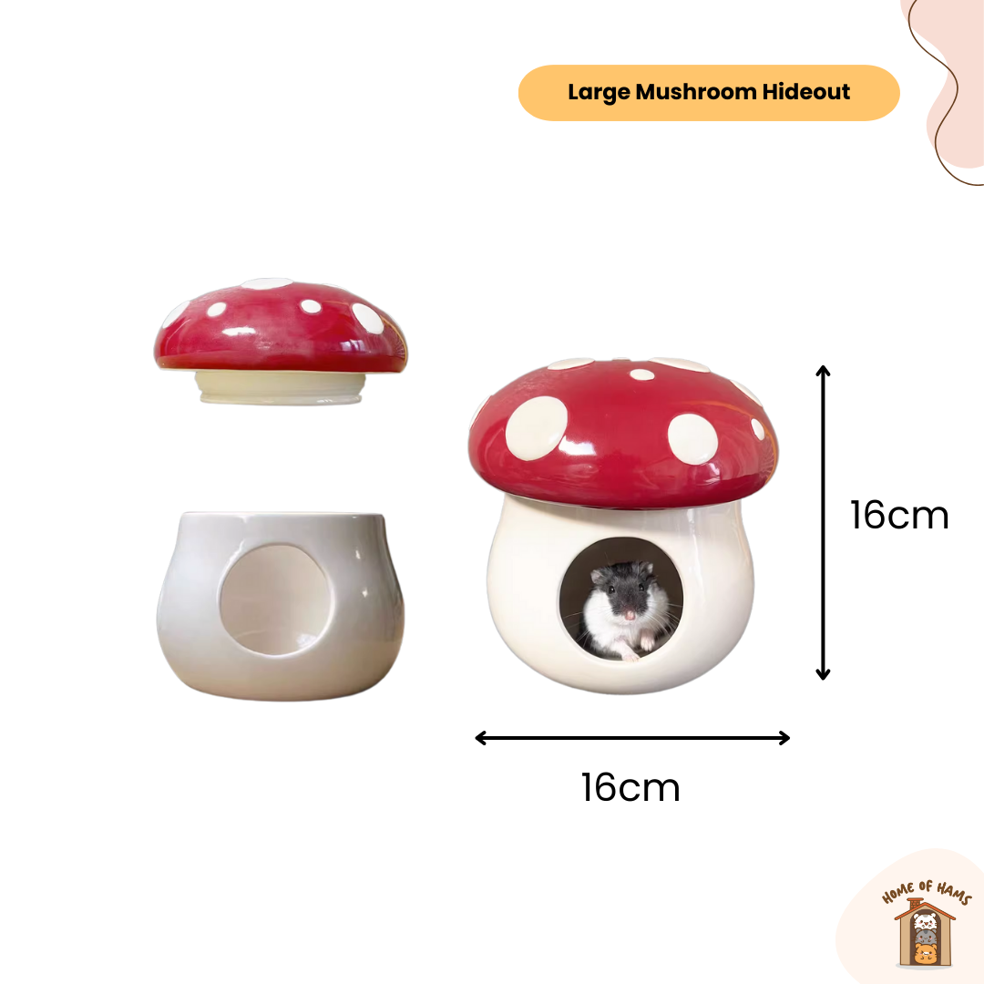 Large Ceramic Hamster Hideouts