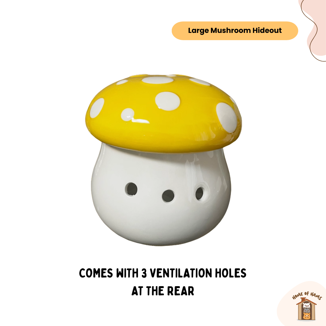 Large Ceramic Hamster Hideouts