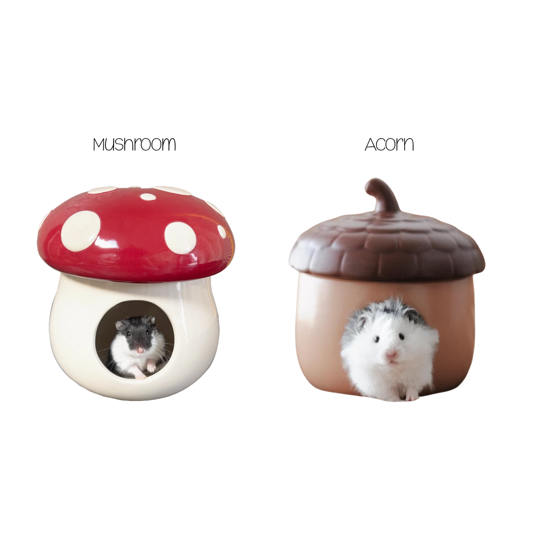 Large Ceramic Hamster Hideouts