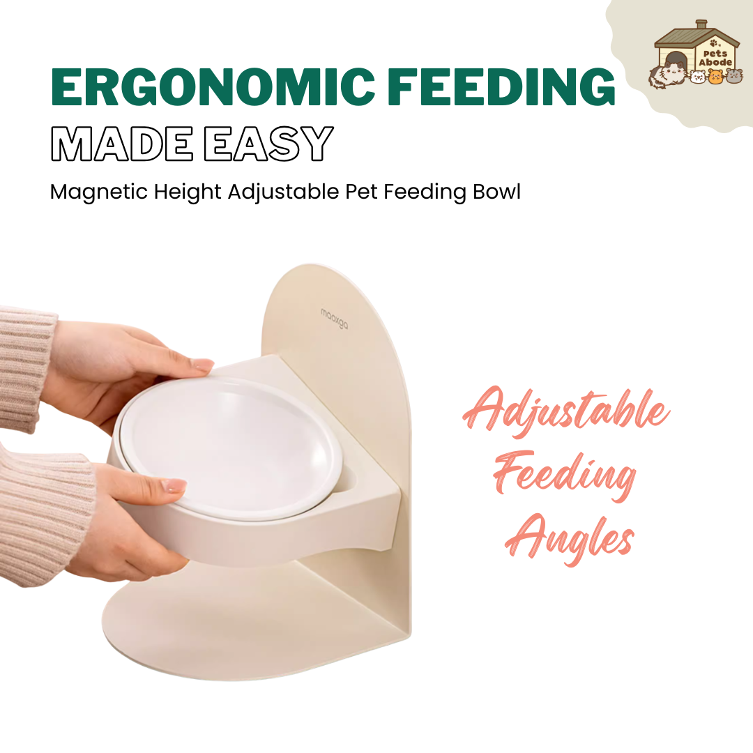 Adjustable Magnetic Pet Feeding Bowl