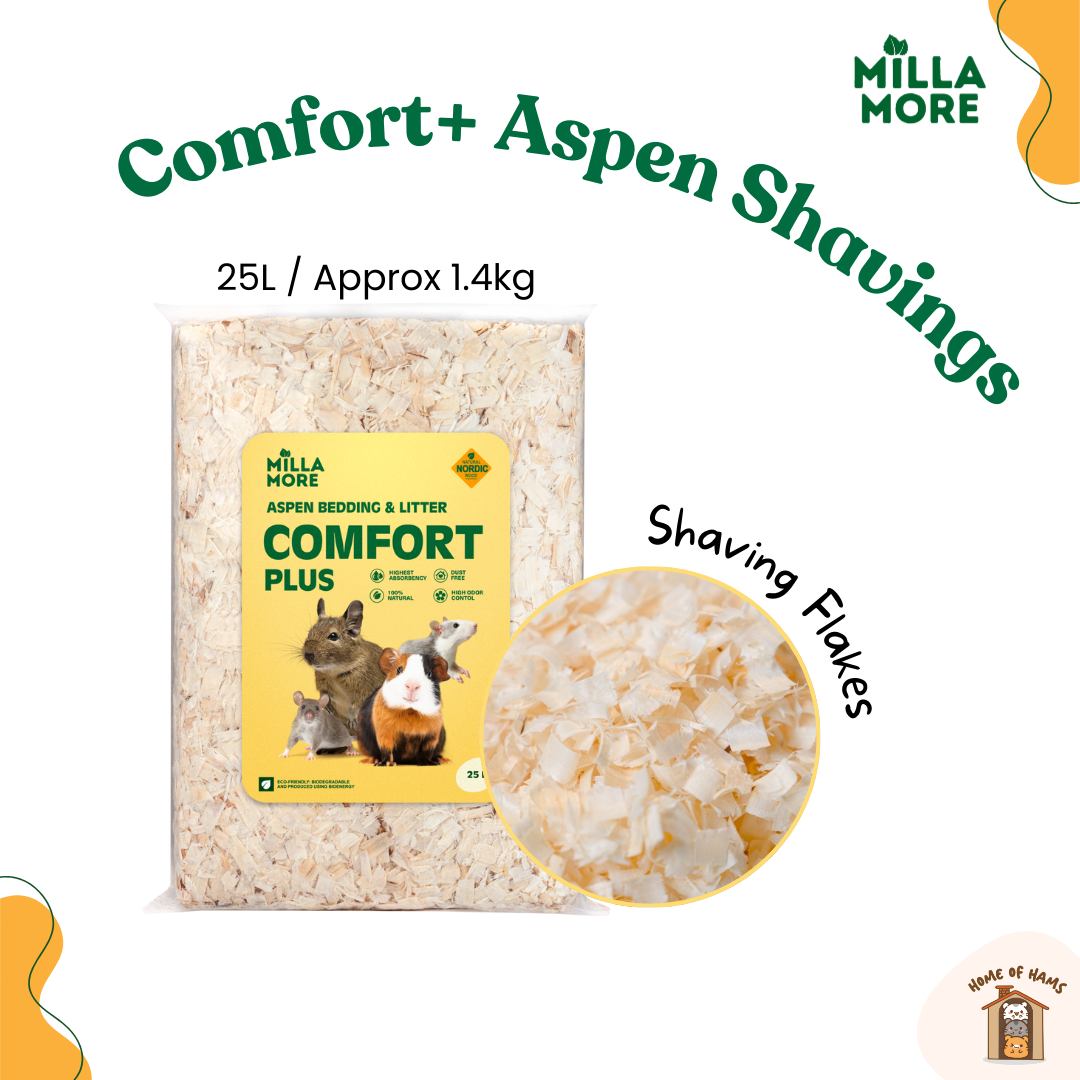 Millamore Aspen Bedding