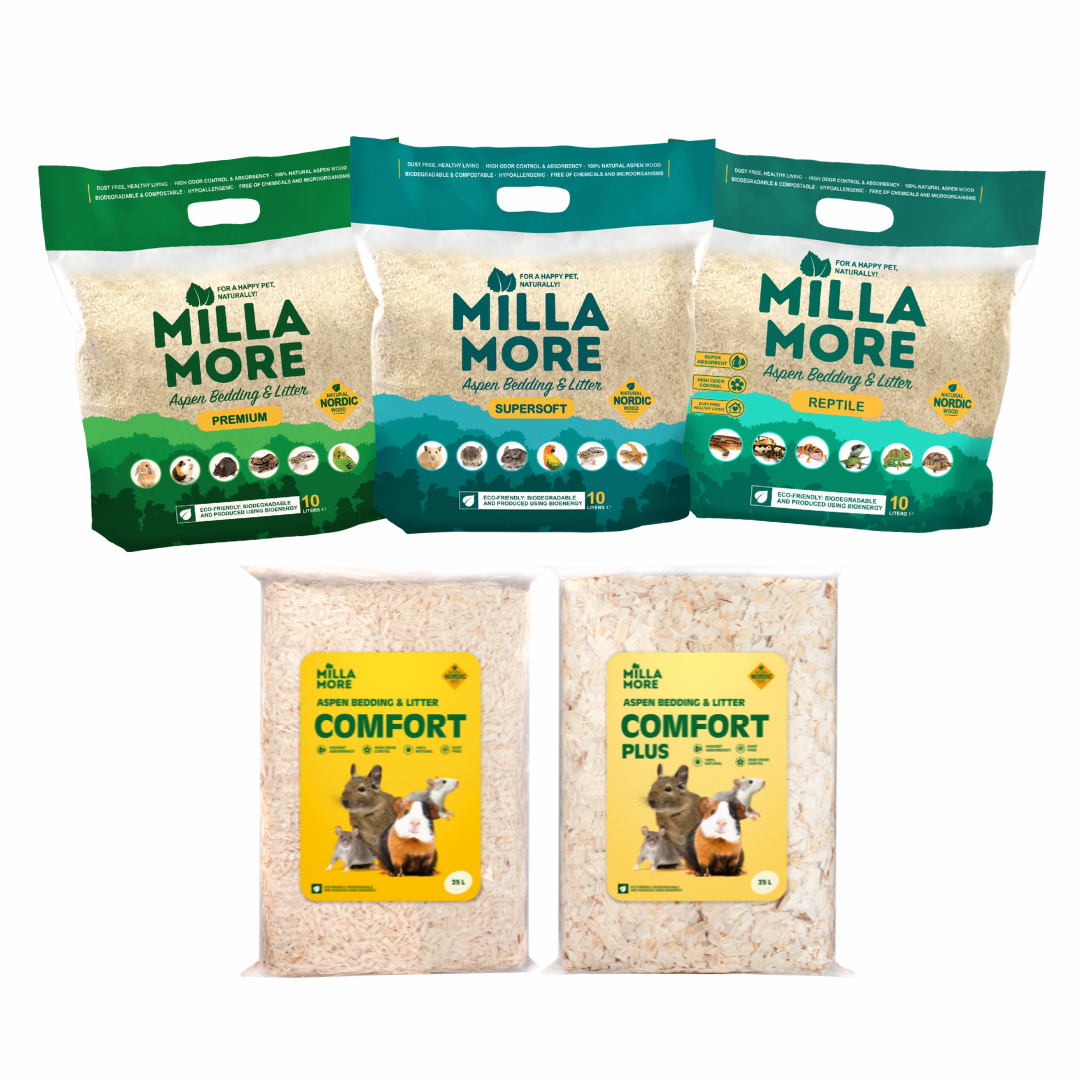 Millamore Aspen Bedding