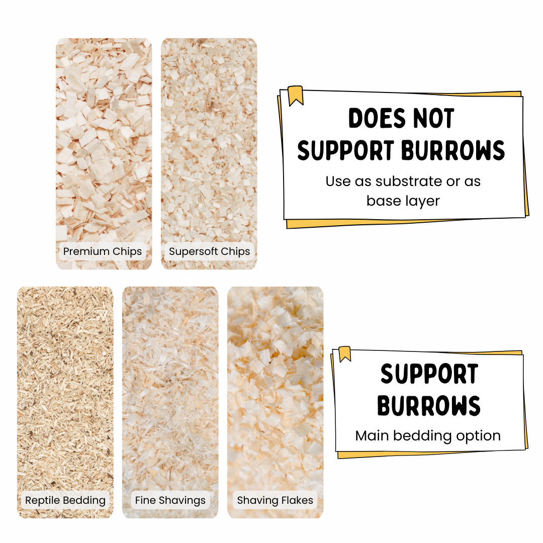 Millamore Aspen Bedding