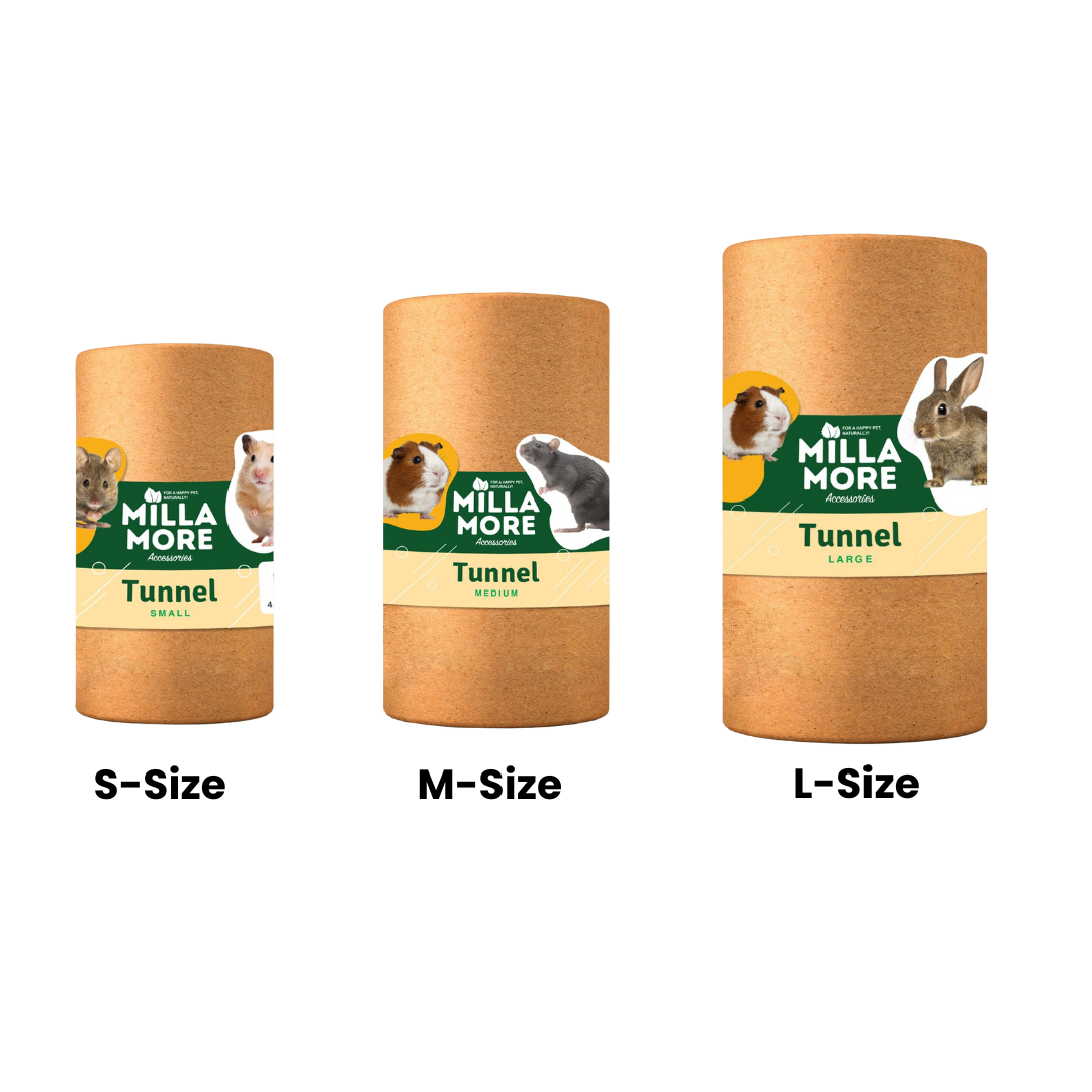 Cardboard Tunnel Hideouts