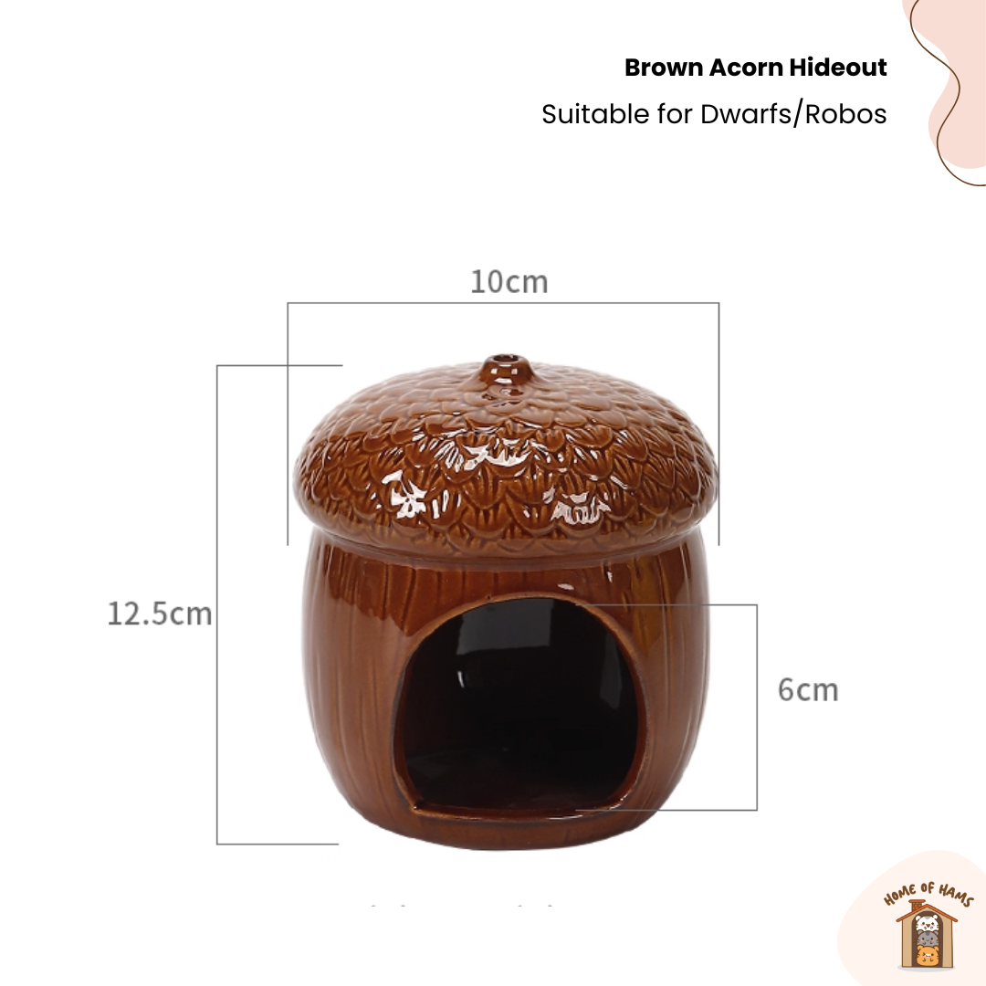 Ceramic Acorn Hideout