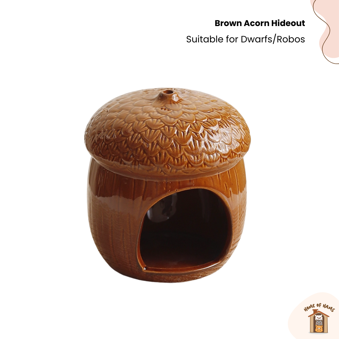 Ceramic Acorn Hideout