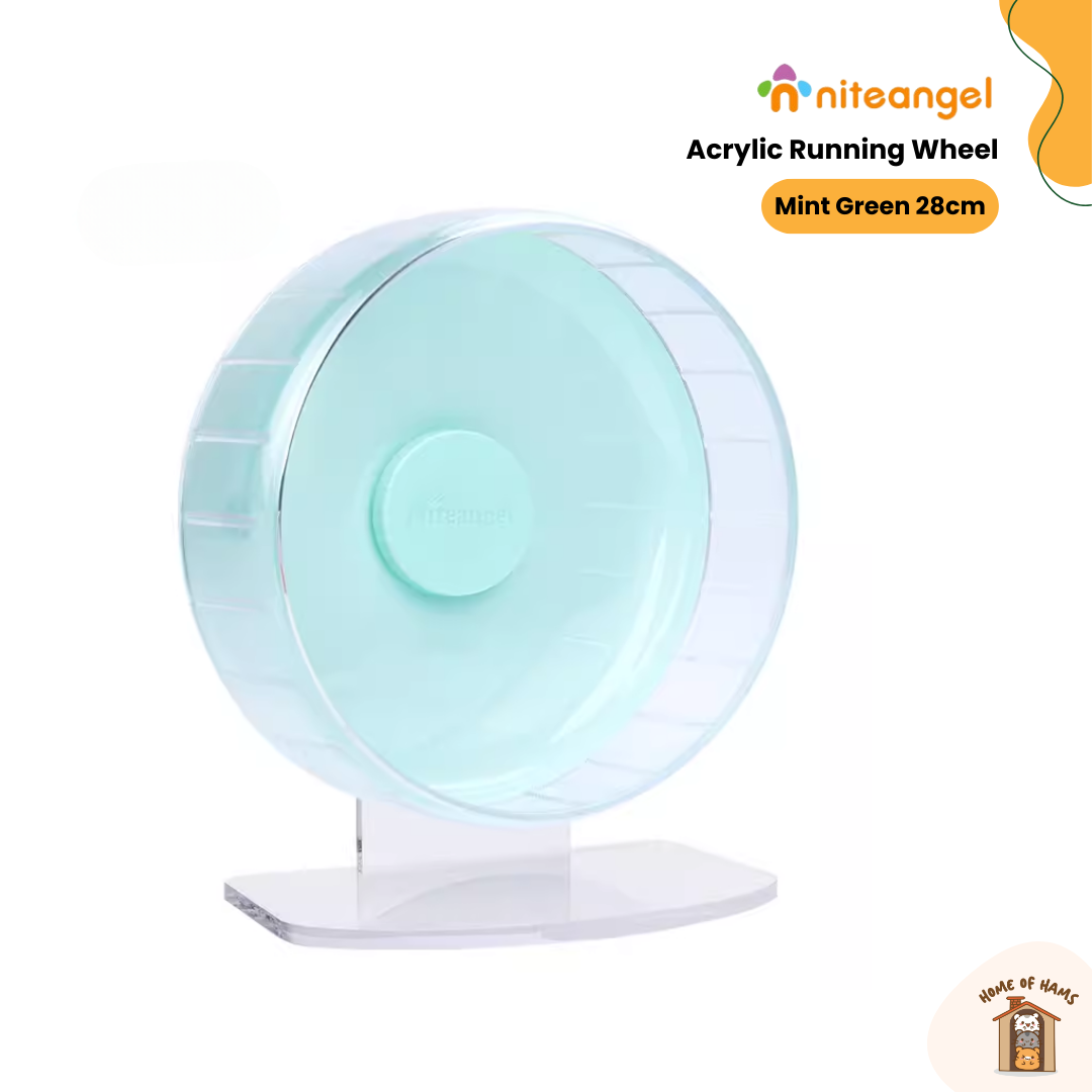 Niteangel Acrylic Running Wheel