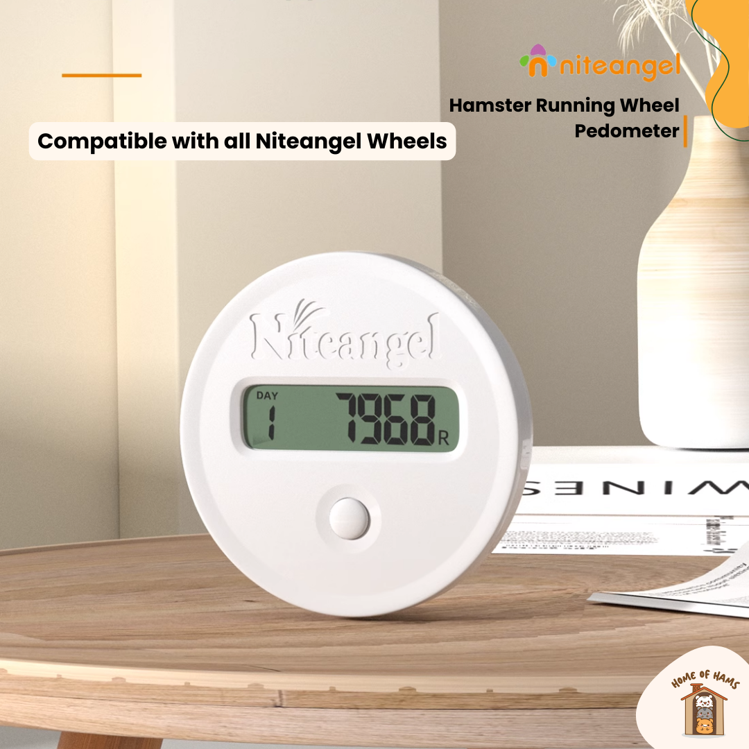 Niteangel Acrylic Running Wheel