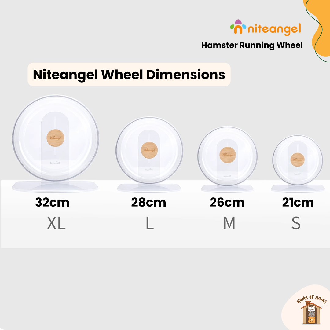 Niteangel Acrylic Running Wheel