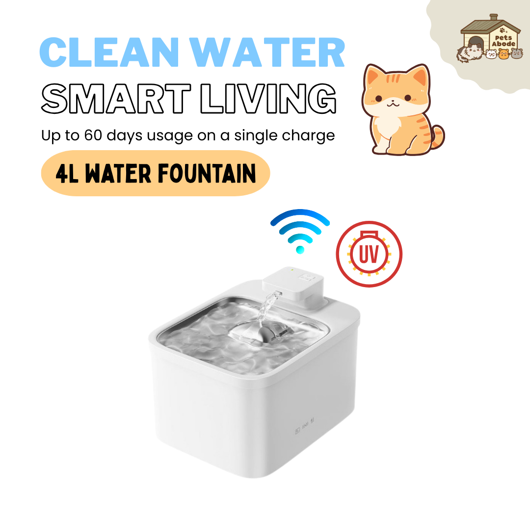 4L UV Wireless Smart Drinking Fountain (APP Enabled)