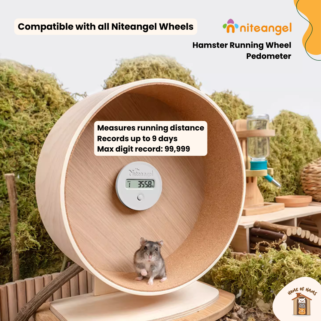 Niteangel Acrylic Running Wheel