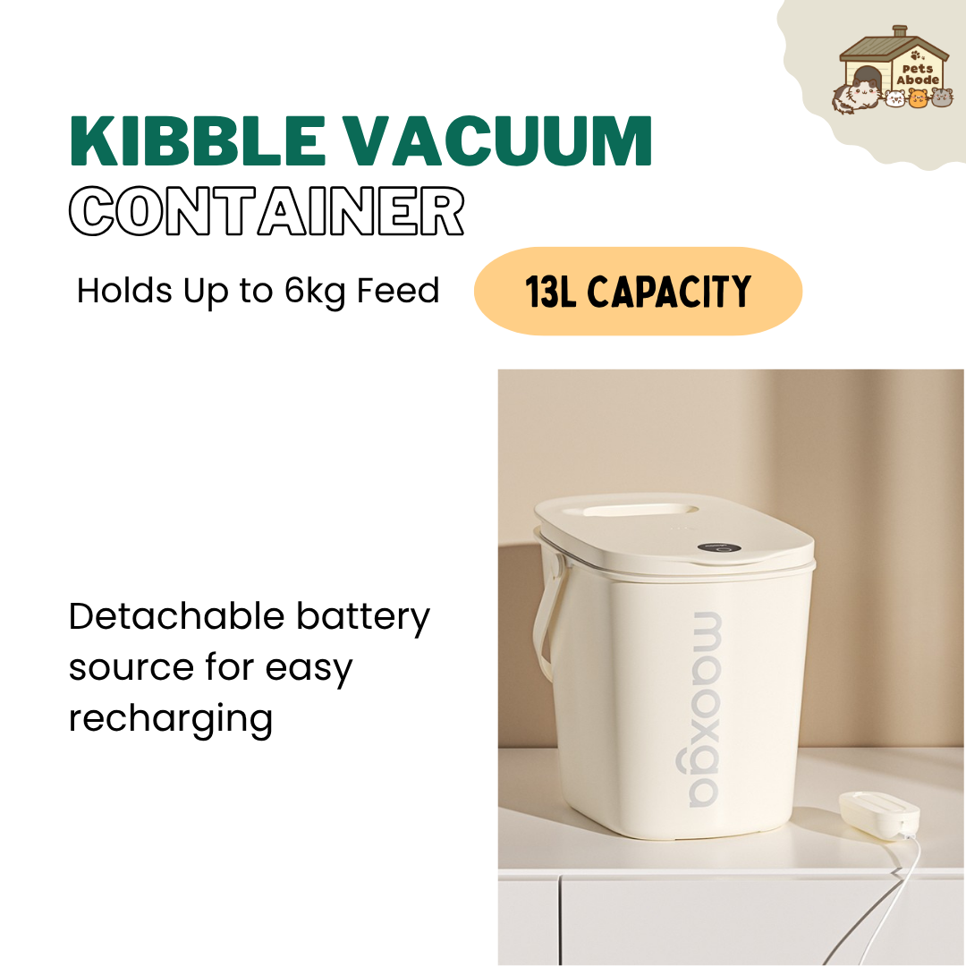 13L Smart Automatic Vacuum Lock Food Container