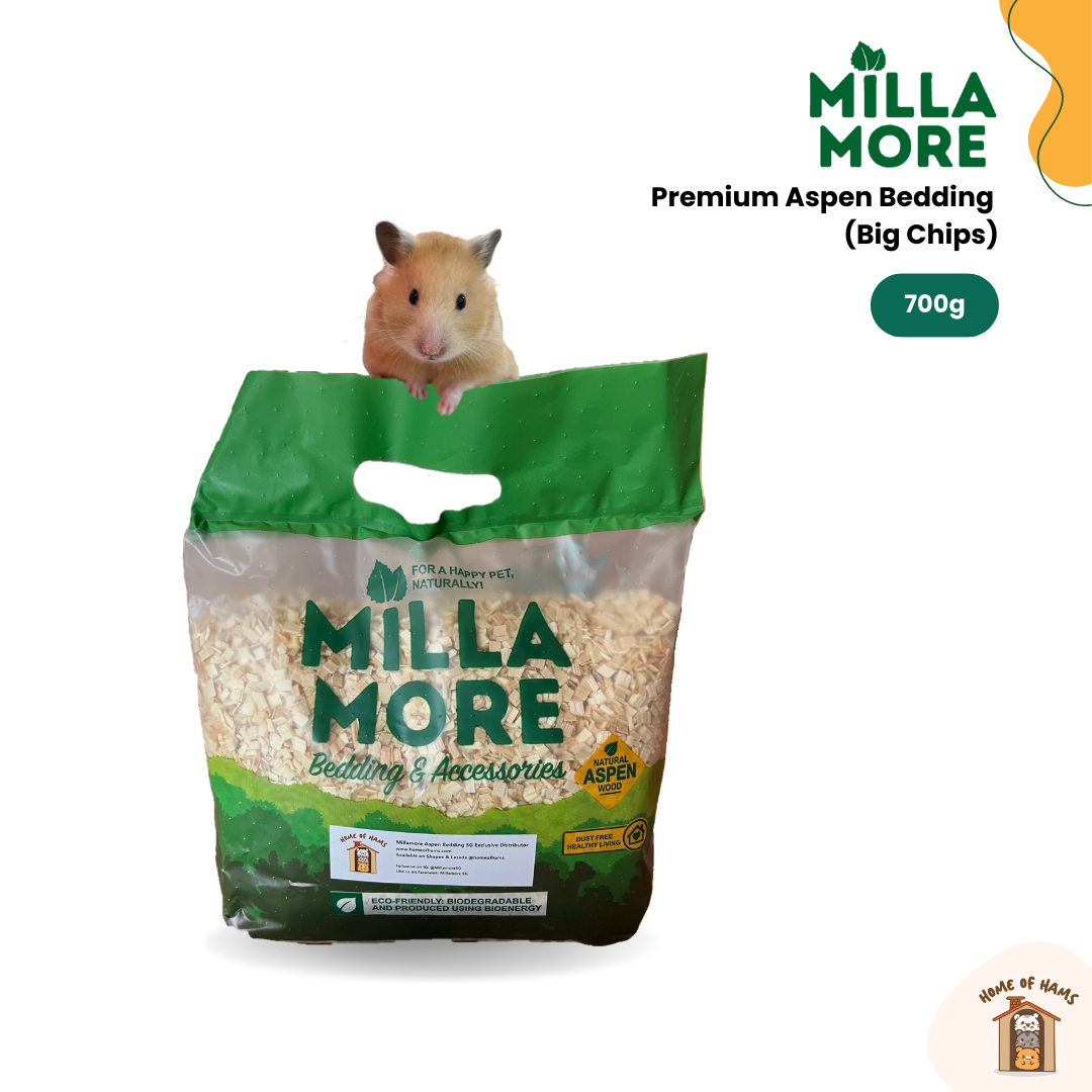 Millamore Aspen Bedding